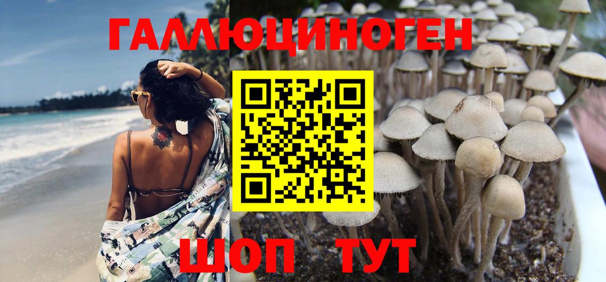 Галлюциногенные грибы мицелий Бузулук