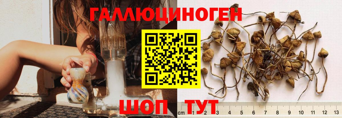 Псилоцибиновые грибы ЛСД  Бузулук 