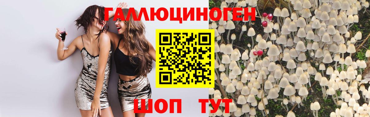 Псилоцибиновые грибы мухоморы Бузулук