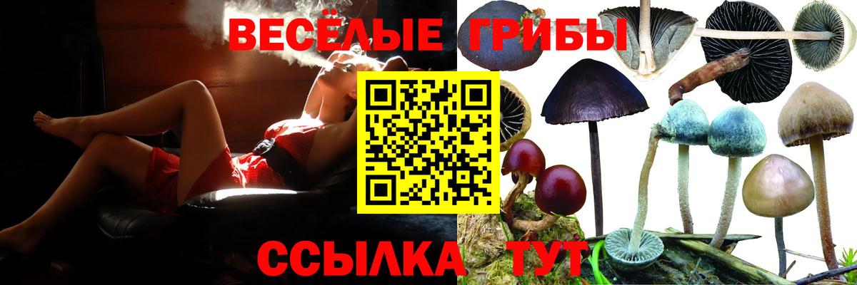 Бошки Шишки  Метамфетамин  Вход с VPN  MDMA  Мефедрон  Бузулук  Cocaine  Гашик  Бошки Шишки 