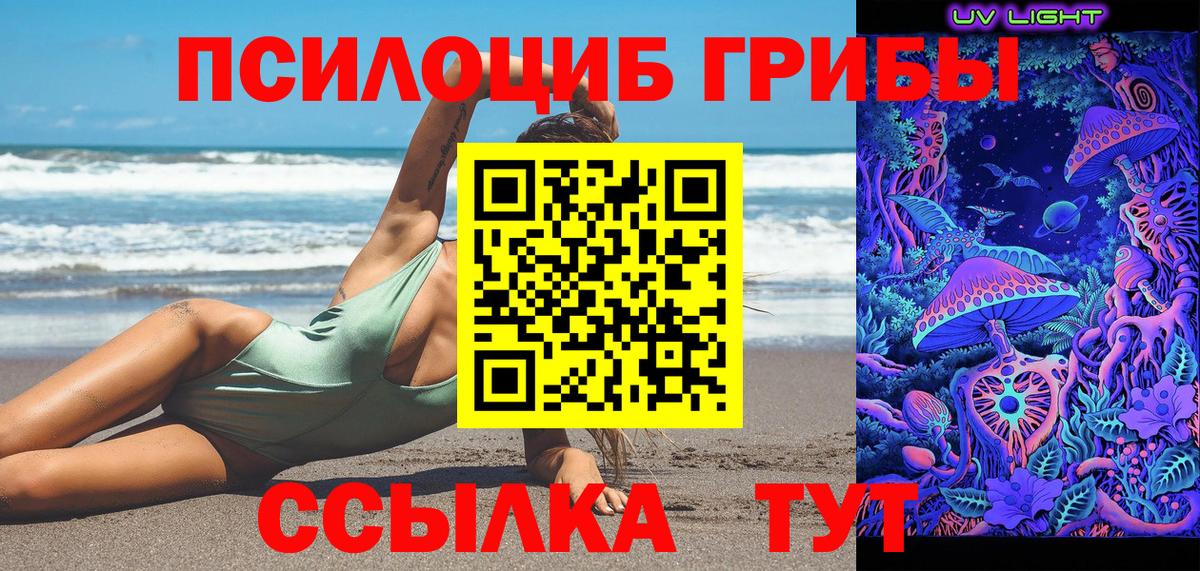 Бузулук  Псилоцибиновые грибы Cubensis  Вход с VPN  Галлюциногенные грибы прущие грибы 